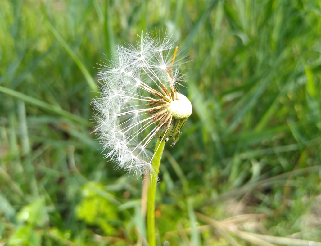 Naturing Myself - Blog - Hochsensibilität oder Bindungstrauma? Wie du den Unterschied erkennst
