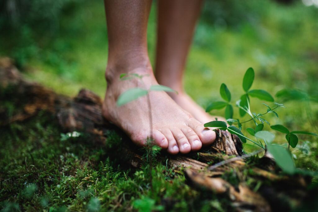 Nackte Füße auf einem Baumstand inmitten grüner Natur - Kontakt - Naturingmyself.de
