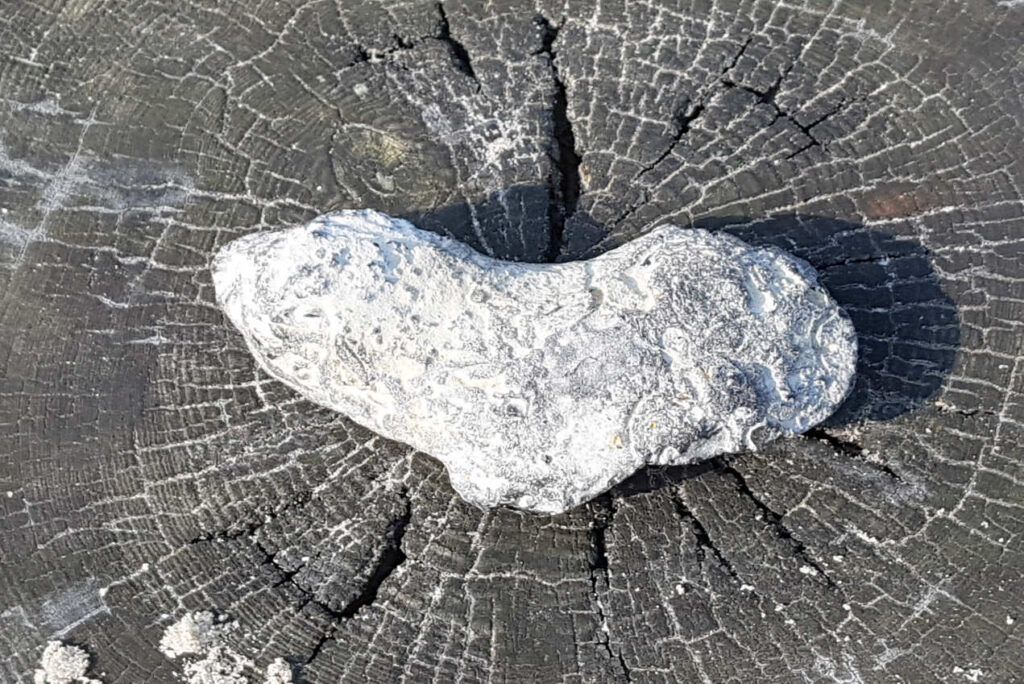 Herz aus Stein auf einem Holzpfosten am Strand von Norderney - Naturing Myself