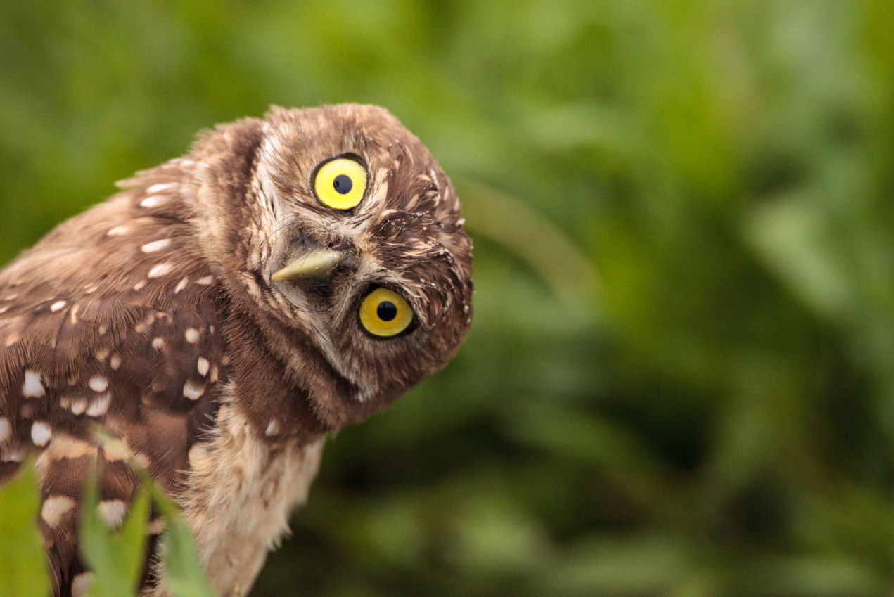 Naturingmyself - Blog - 5 Wege, wie die Verbindung zur Natur dich weiterbringt