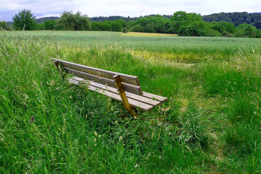 Sitzbank in einer grünen Wiese mit Blick auf den Wald - Naturing Myself - Hilfe aus der Natur für unterwegs