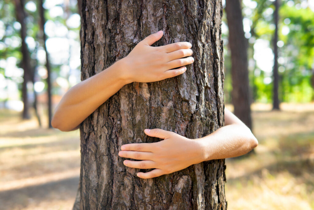 Umarmung eines Baums in einem Park - Naturingmyself - Nervensystem regulieren