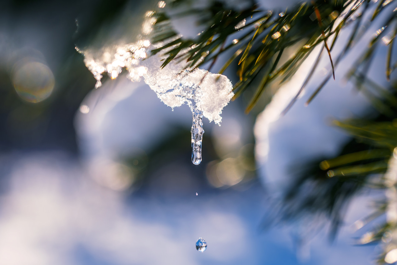 Du betrachtest gerade 5 Tipps für naturbasierte Achtsamkeit im Winter