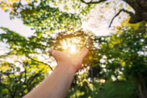 Mehr über den Artikel erfahren Traumaheilung mit der Natur: Die heilende Kraft des Draußenseins