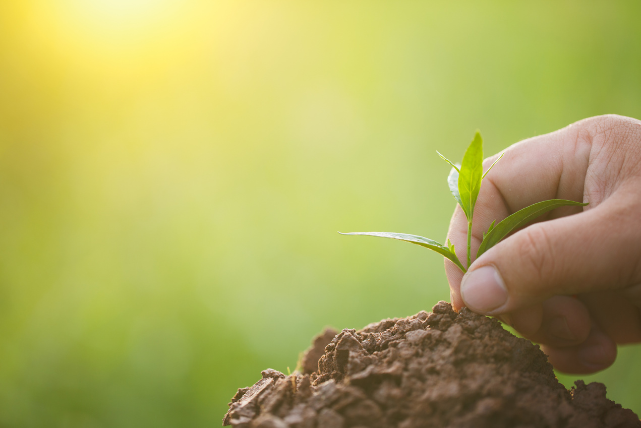 Naturing Myself - Blog - Unterstützung zulassen: Warum es HSP mit Trauma oft schwerfällt
