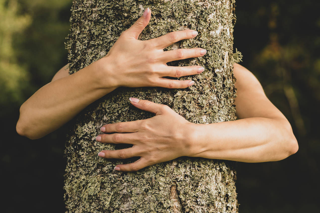 Naturing Myself - Blog - Alltag erleichtern: 7 Tools für hochsensible Menschen mit frühem Trauma